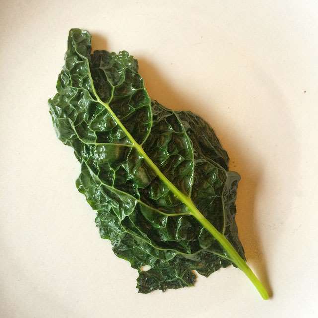EMP-Leaf-of-Kale