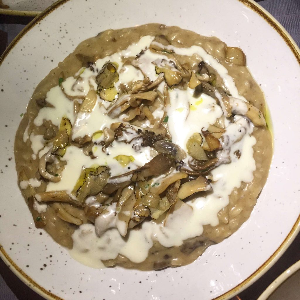 Solo Bistronomia and Vinobar