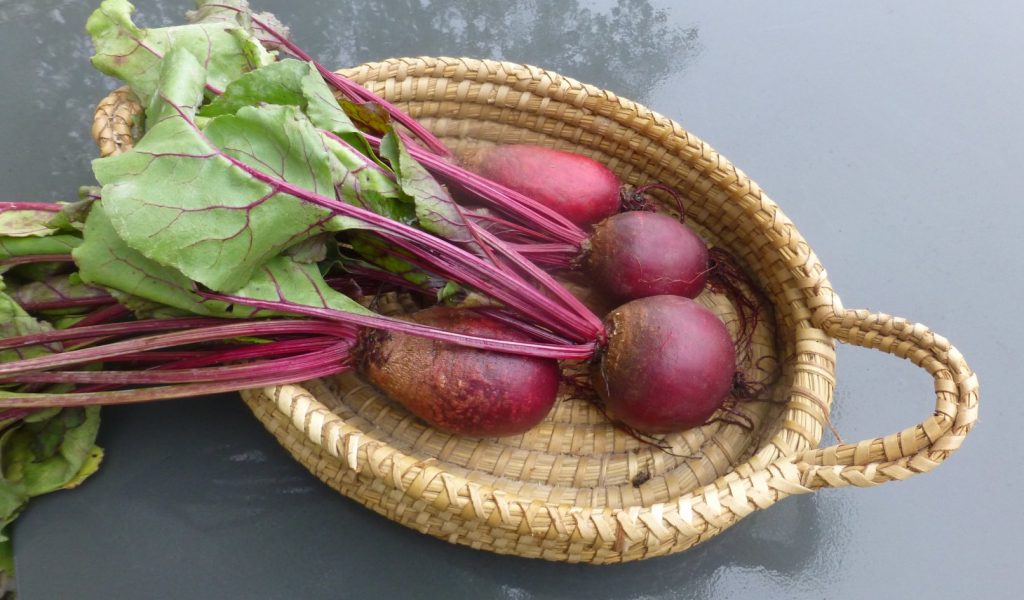 Beetroot - Vegetarian Brain Food
