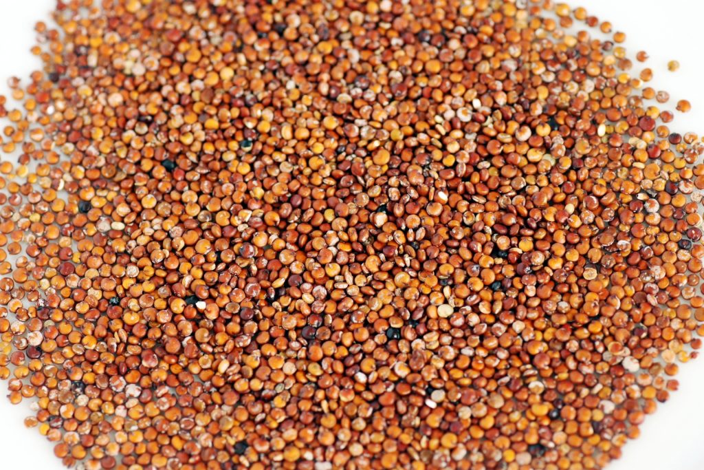 Quinoa - Vegetarian Brain Food
