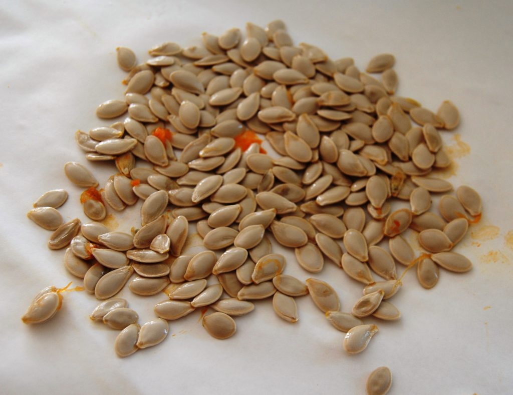 Cool Summer Foods - Pumpkin Seeds