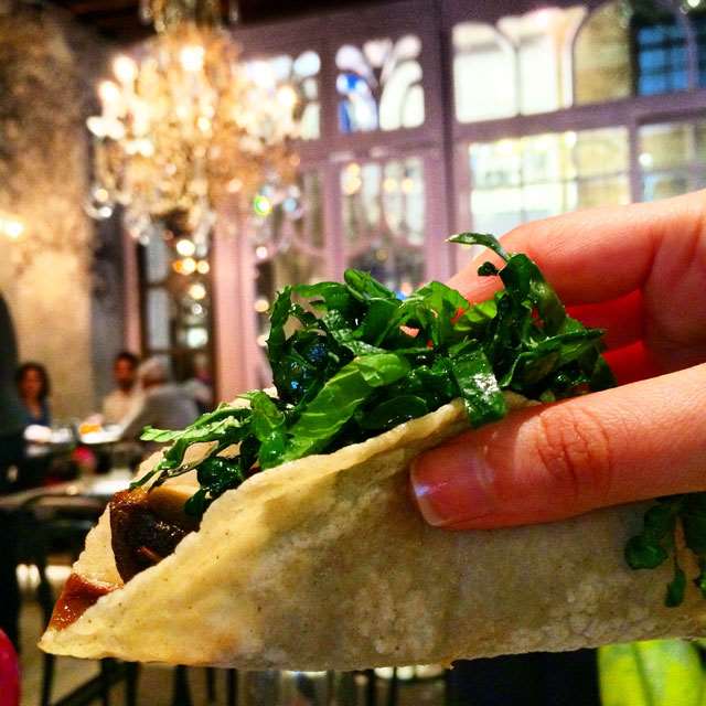 Sauteed Mushroom Tacos - ABC Cocina by Jean-Georges NYC