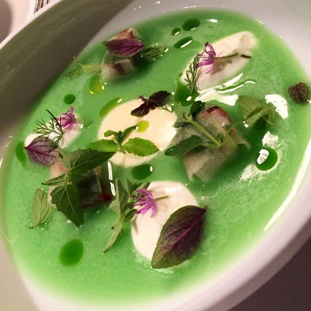 osteria-green-soup