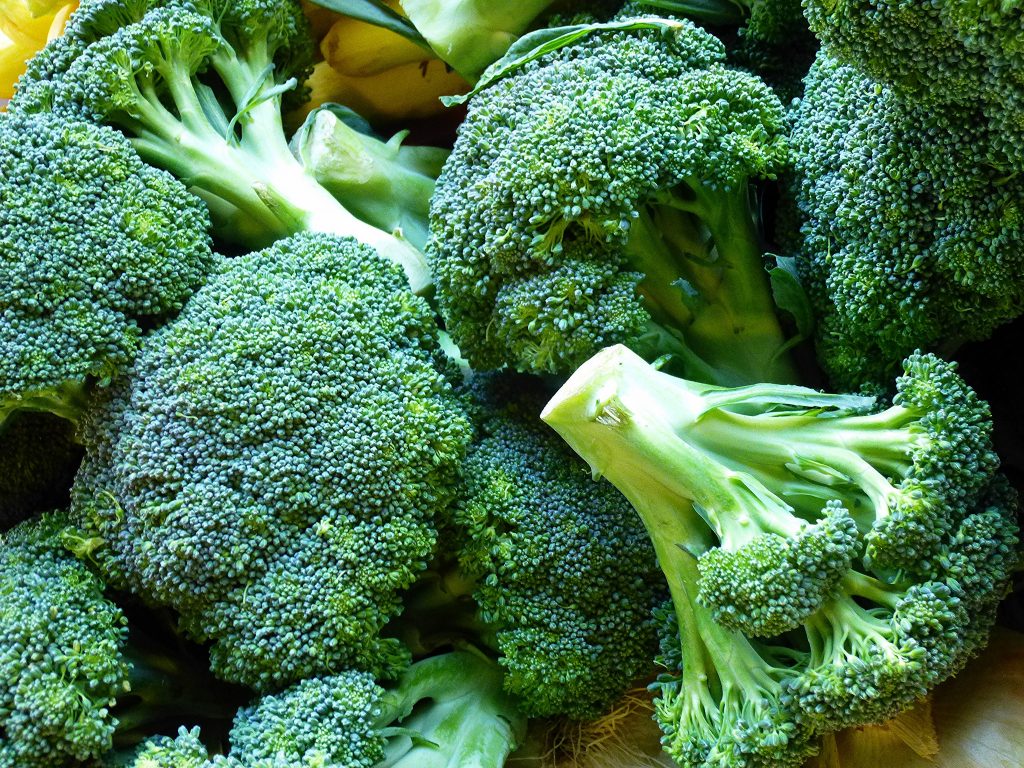 Broccoli - Vegetarian Brain Food
