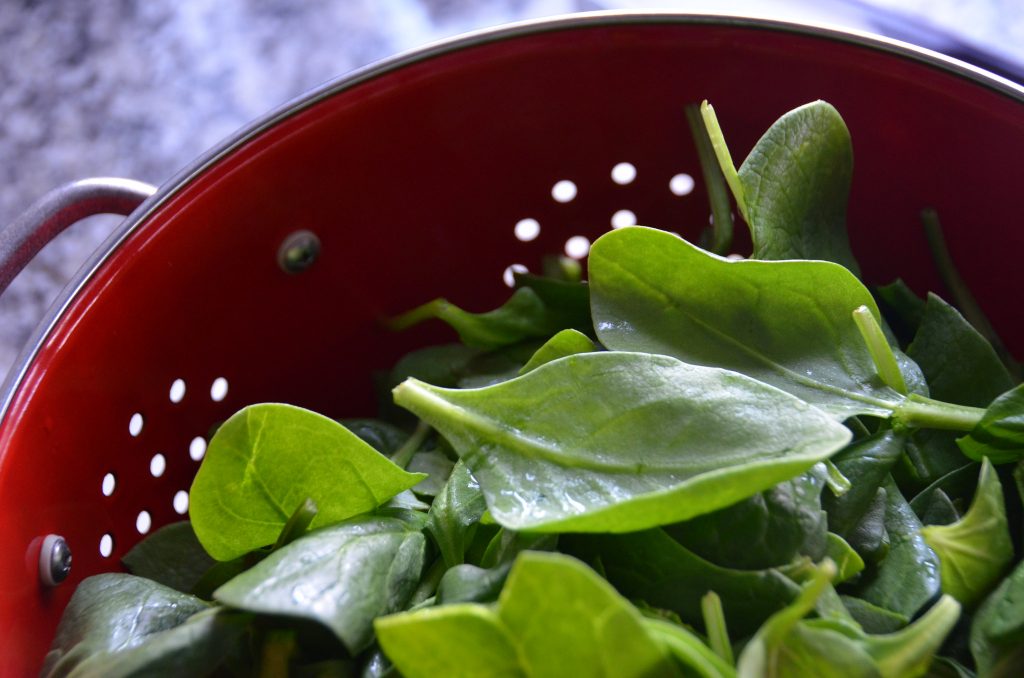 Spinach - Vegetarian Brain Food
