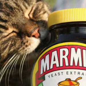 5 Facts About Marmite: We're about to turn your hate into love