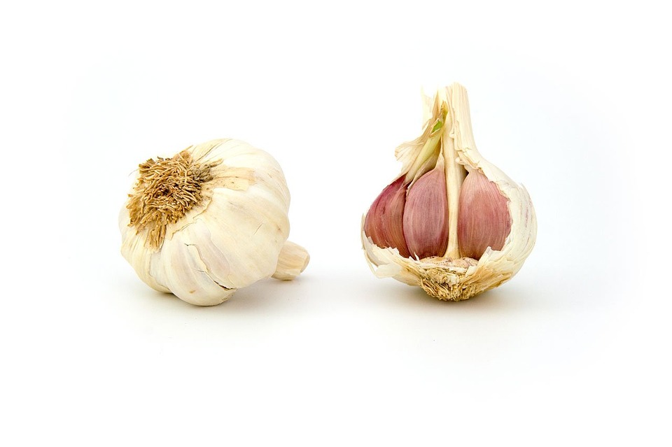 garlic-1808_960_720